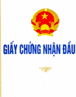 Giấy chứng nhận đầu tư mới